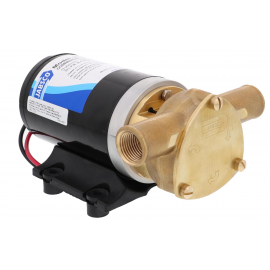 12 V 10 GPM Bomba de...