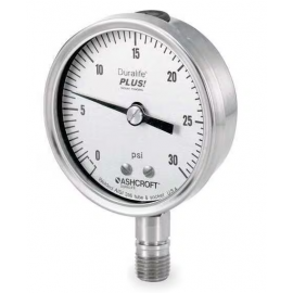 0 a 300 PSI 2-1/2"...